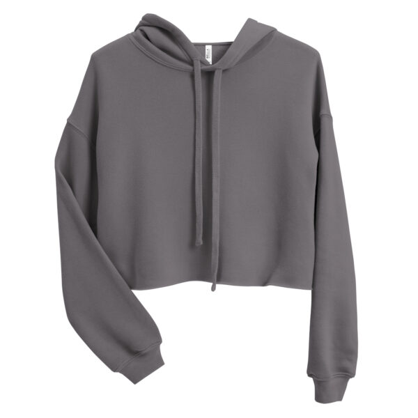 Crop Hoodie: Media, Entertainment, and Fashion Law Association grey