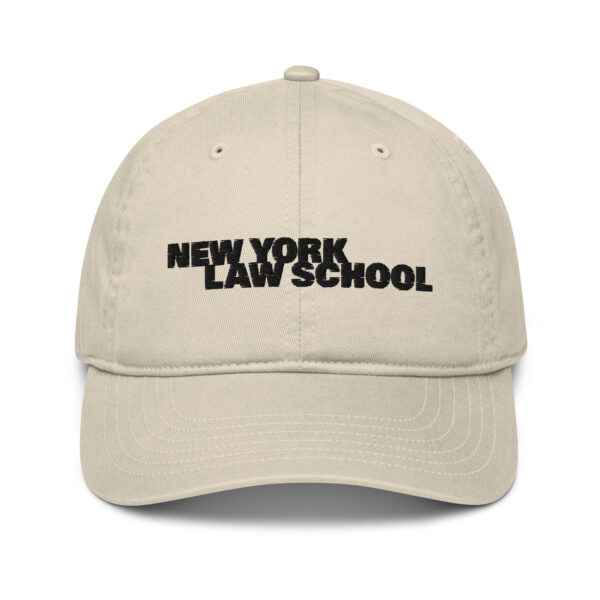 New York Law School organic-baseball-cap-oyster-front